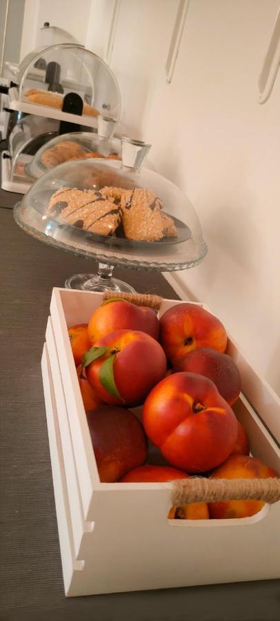 Magnolia Room & Breakfast Faenza Buitenkant foto
